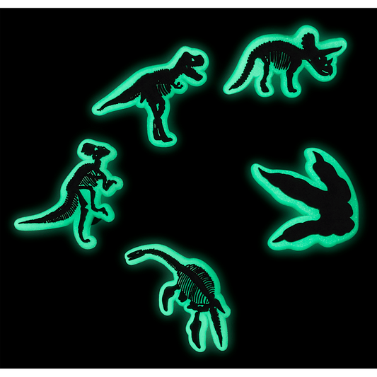 Glow In The Dark Dino 5 Pack Jibbitz Shoe Charm | Crocs Women / Men