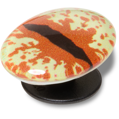 Hazel Animal Eye Jibbitz™ charms | Crocs Women / Men