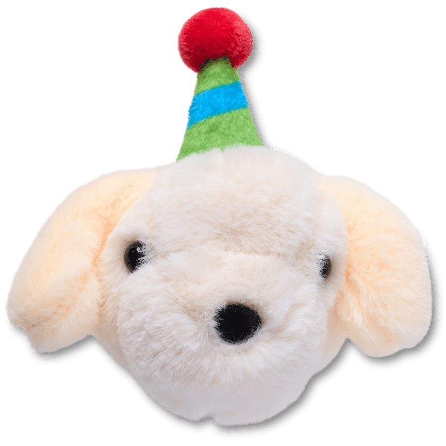 Record Your Own Sound Birthday Jibbitz™ charms | Crocs Women / Men