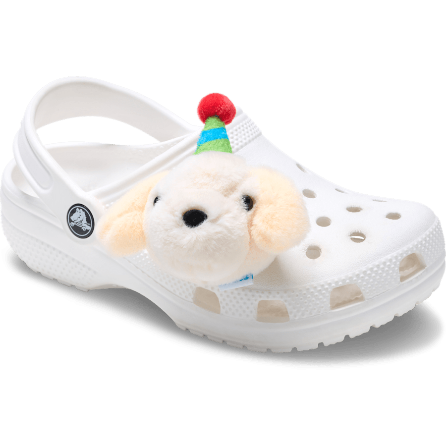 Record Your Own Sound Birthday Jibbitz™ charms | Crocs Women / Men