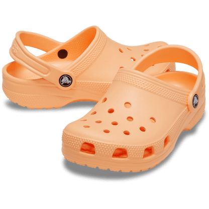Toddler Classic Clog | Crocs Kids