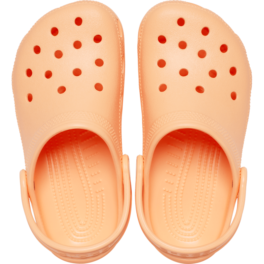 Toddler Classic Clog | Crocs Kids