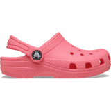 Guava