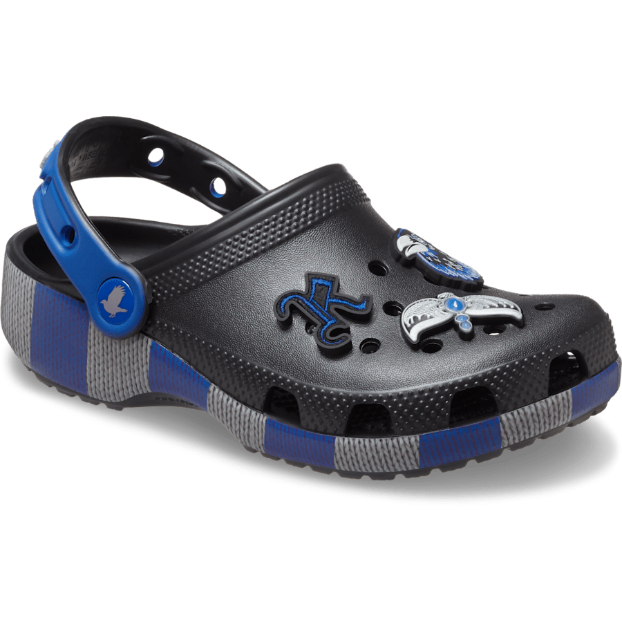 Kids' Harry Potter Ravenclaw Classic Clog | Crocs Kids