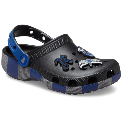 Toddlers' Harry Potter Ravenclaw Classic Clog | Crocs Kids